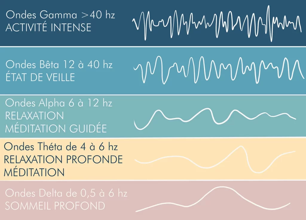 Schéma des ondes : gamma, bêta, alpha, théta, delta pendant les relaxations guidées